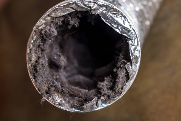 Best HVAC Air Duct Cleaning  in Waukon, IA