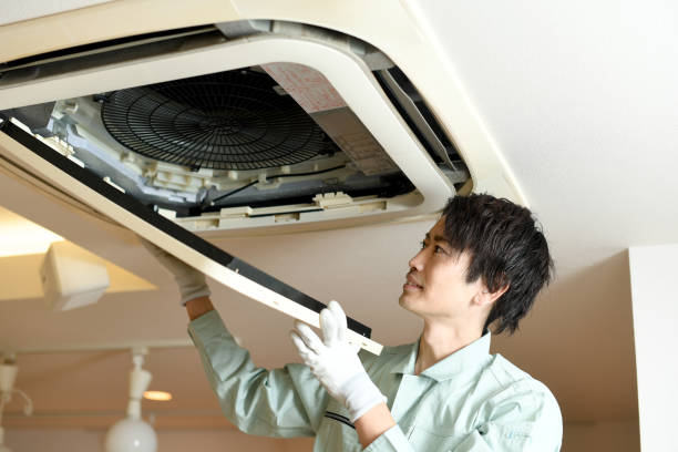 Best Home Air Vent Cleaning  in Waukon, IA
