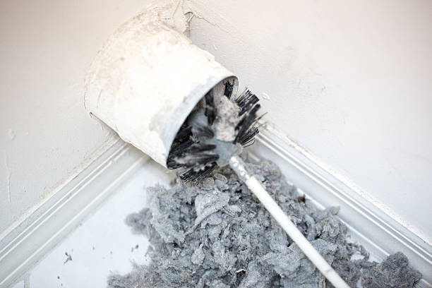Best Affordable HVAC Duct Cleaning  in Waukon, IA